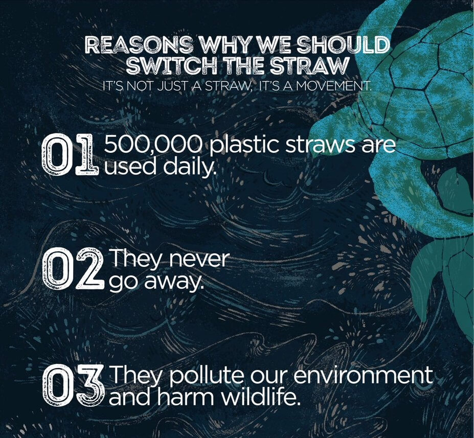 why we should switch the straw